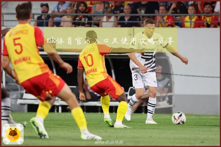 mk体育官方入口及使用攻略分享