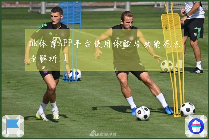 mk体育APP平台使用体验与功能亮点全解析_1