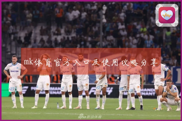 mk体育官方入口及使用攻略分享